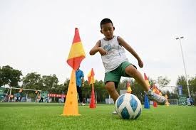 雷迪克：希望东契奇和勒布朗都能在对阵76人时回归阵容